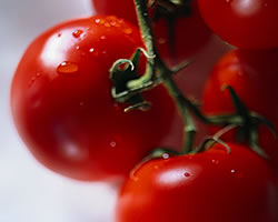 Limpieza de Alimentos